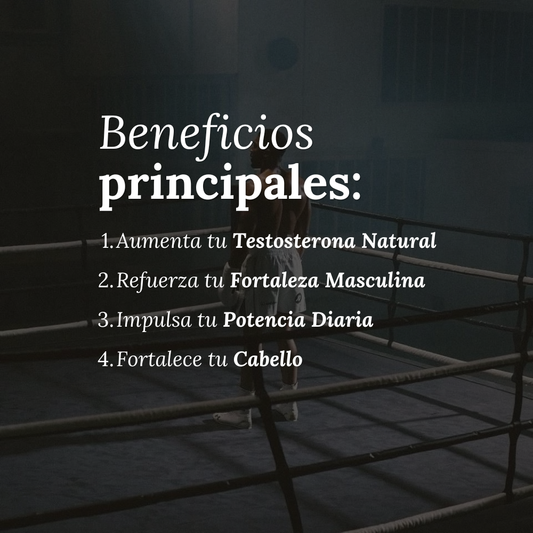 FORTALEZA