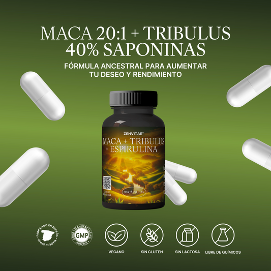 Maca andina tribulus