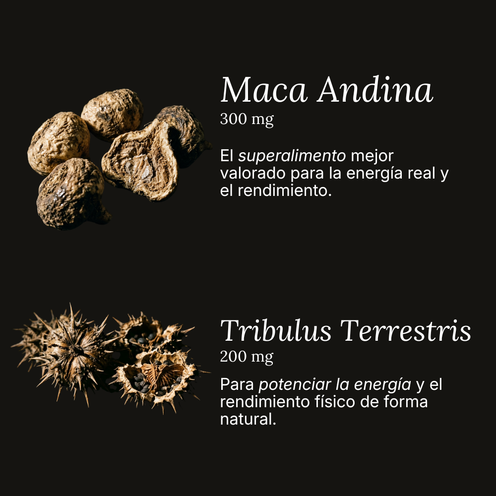 ENERGÍA