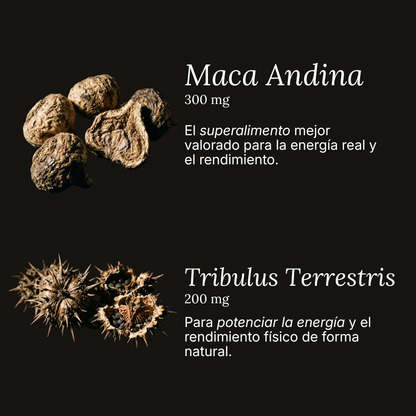 ENERGÍA