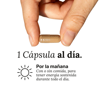 FOCO DIARIO
