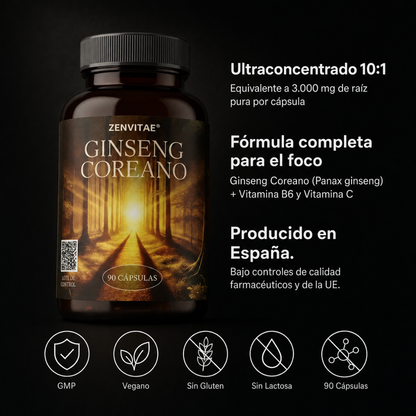 FOCO DIARIO