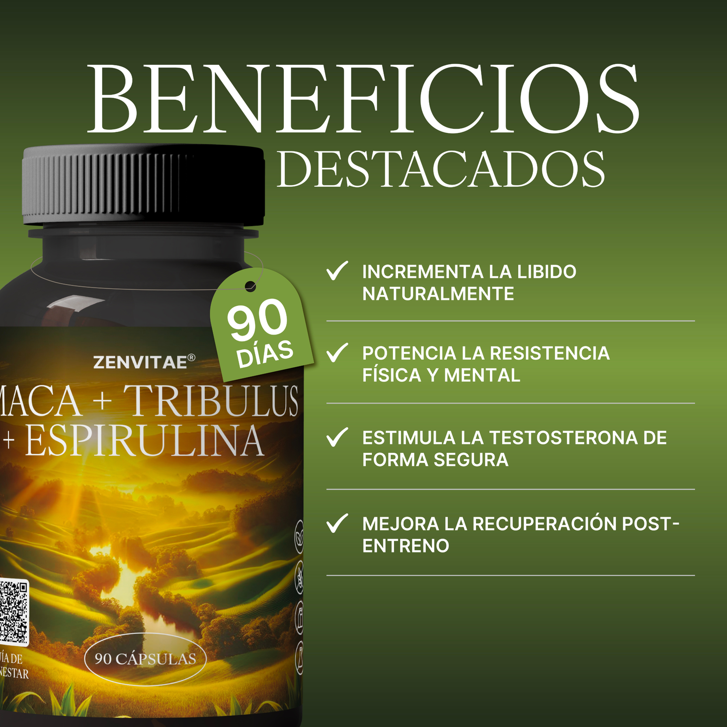 Maca andina beneficios
